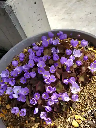 高司神社〜むすびの神の鎮まる社〜(福島県)