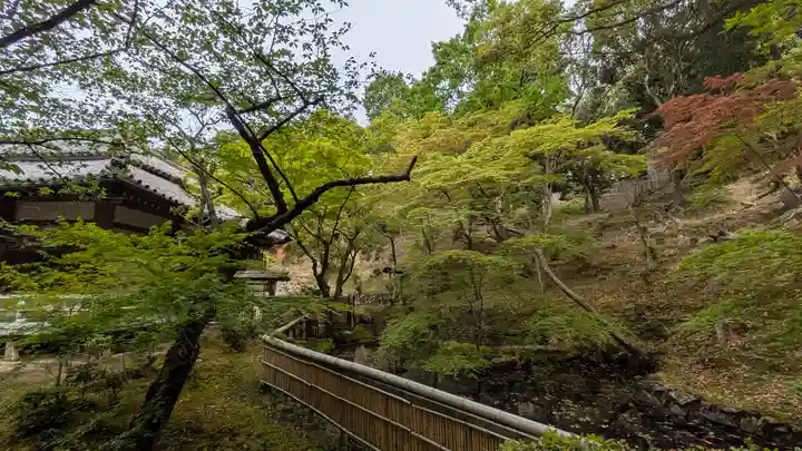 安福寺(大阪府)