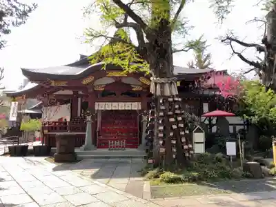 素盞雄神社の本殿・本堂