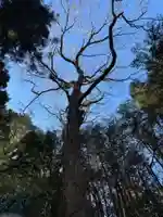 鶴島神明社(山梨県)