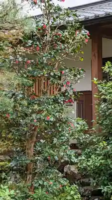 安楽寺(京都府)