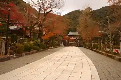 伊奈波神社(岐阜県)