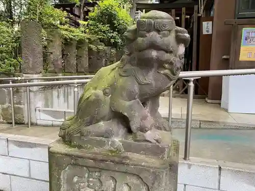 北澤八幡神社の狛犬