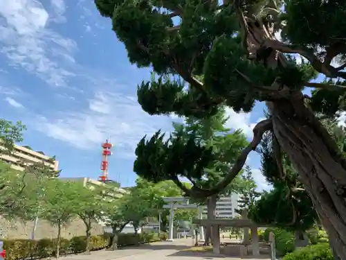 福井神社の建物その他