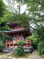 三室戸寺(京都府)