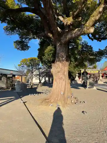成田山大阪別院　明王院の自然