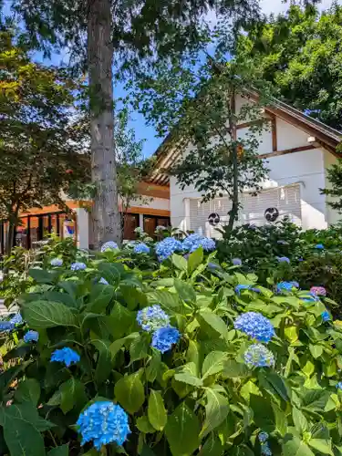 西野神社(北海道)