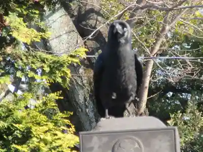 慈眼寺(東京都)