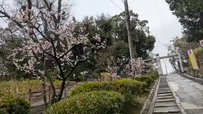 上宮天満宮(大阪府)