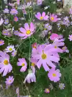 林光院(愛知県)