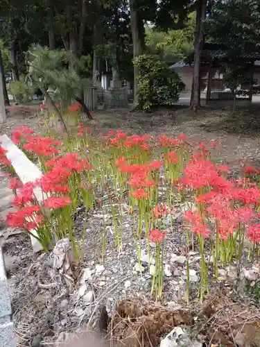 日吉神社の自然