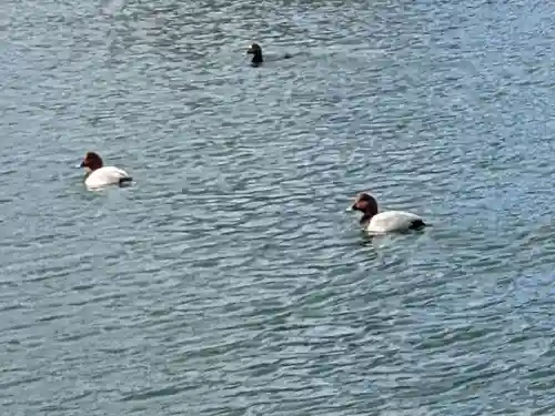 三和神社(香川県)
