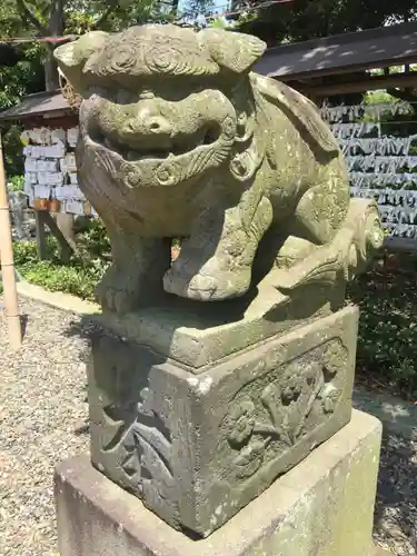 菊田神社の狛犬