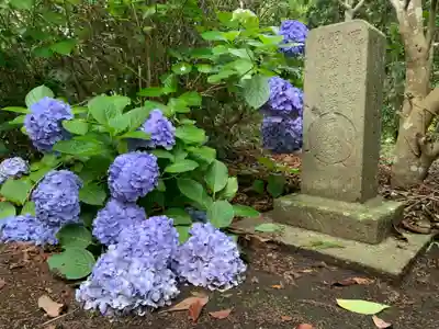 海寳寺(千葉県)