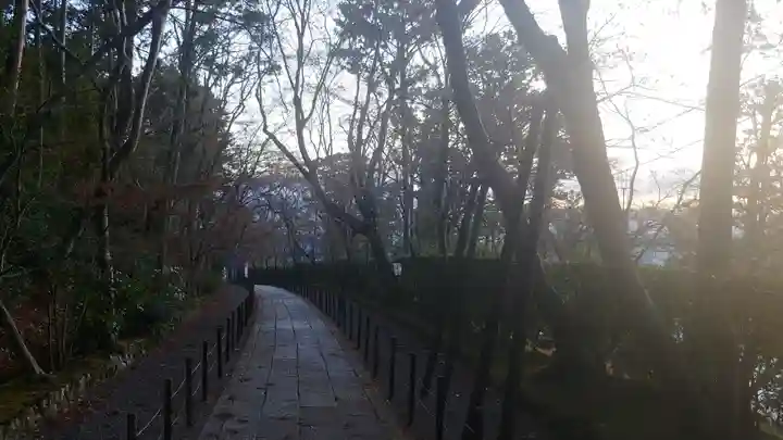 光明寺(粟生光明寺)の自然