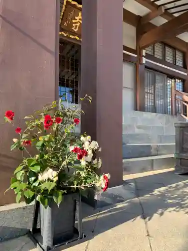 泉竜寺(乙女不動尊)の本殿・本堂