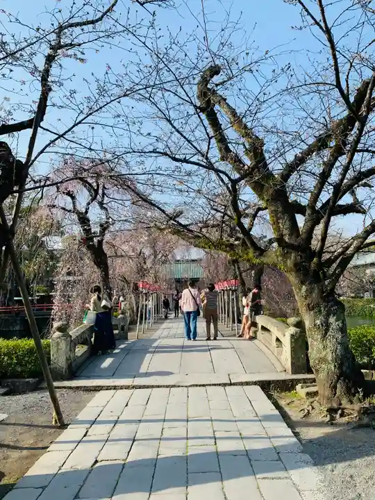 三嶋大社(静岡県)