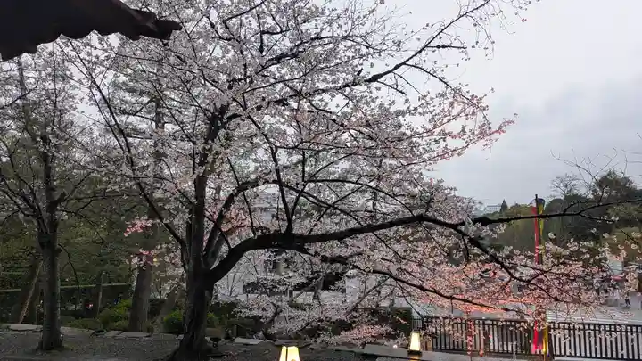 知恩院(京都府)