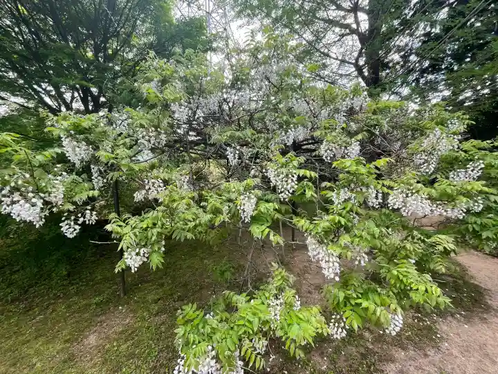子安地蔵寺の{uncategorized: "未分類", other: "その他", undefined: "問題あり", building: "その他建物", grave: "お墓", sacred_gate: "鳥居", guardian: "狛犬", statue: "像", buddha: "仏像", history: "歴史", nature: "自然", garden: "庭園", animal: "動物", pagoda: "塔", temizu: "手水舎", mountain_gate: "山門・神門", sanctuary: "本殿・本堂", subordinate: "末社・摂社", art: "芸術", scenery: "景色", jizo: "地蔵", ema: "絵馬", goshuin: "御朱印", omikuji: "おみくじ", items: "授与品その他", amulet: "お守り", goshuincho: "御朱印帳", eats: "食事", festival: "お祭り", votive_dance: "神楽", shichigosan: "七五三参", wedding: "結婚式", experience: "体験その他", initially: "初詣", around: "周辺", anti_infection: "感染症対策"}