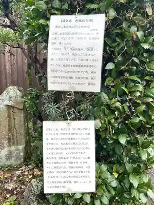 遠久寺(滋賀県)