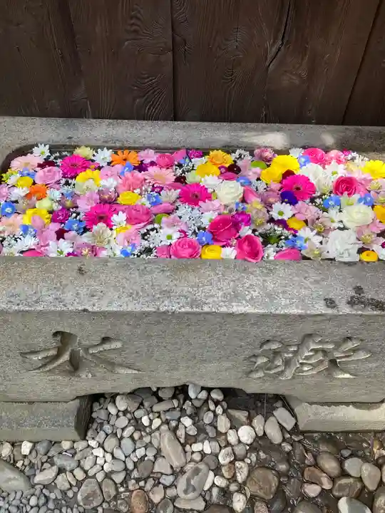 菅生神社の手水舎