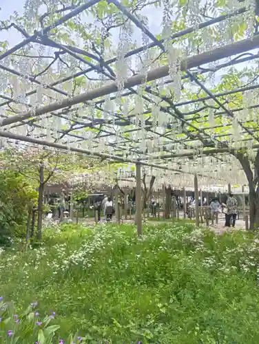 曼陀羅寺(愛知県)