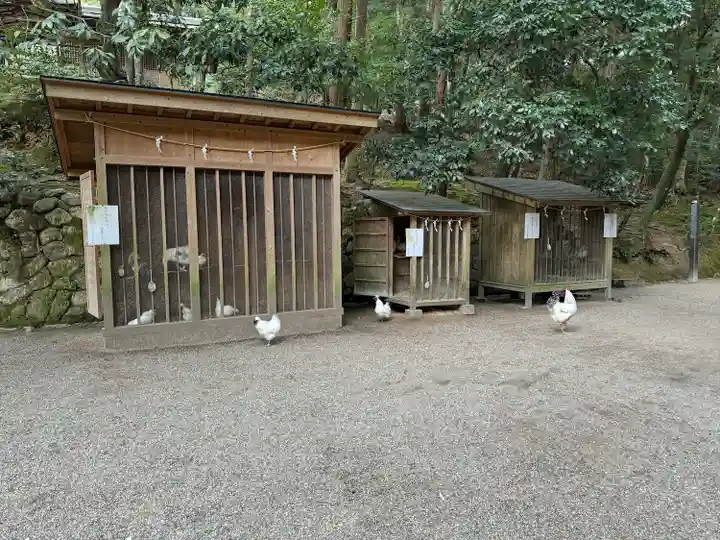 石上神宮(奈良県)