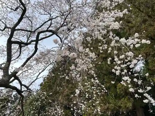 北野神社(福島県)