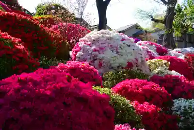 根津神社(東京都)