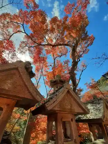 朝護孫子寺(奈良県)