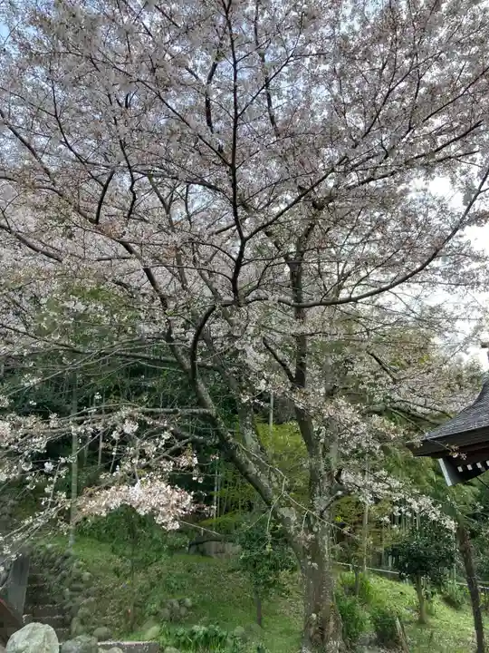 荘嚴寺(神奈川県)