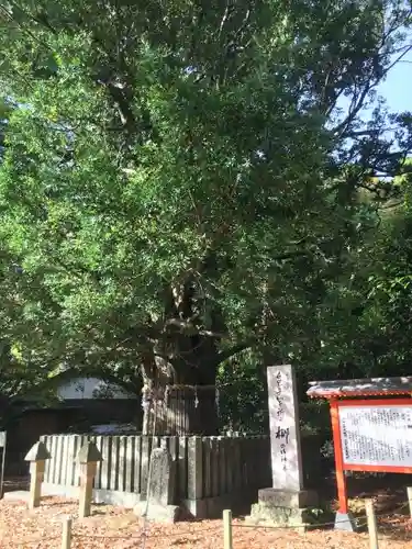 熊野速玉大社のその他建物