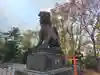 滝川神社の狛犬