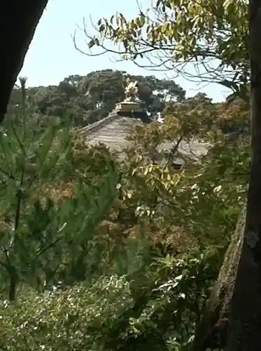 鹿苑寺（金閣寺）の景色