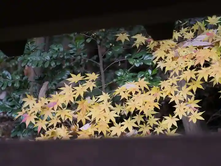 乃木神社の自然