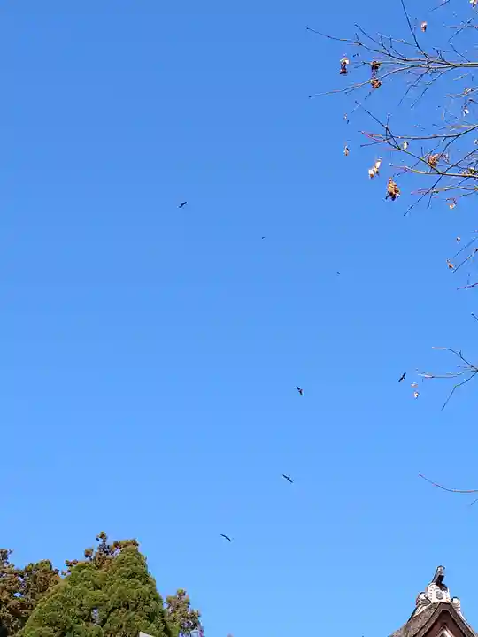 宝厳寺(滋賀県)