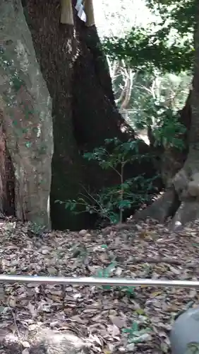 松阪神社(三重県)