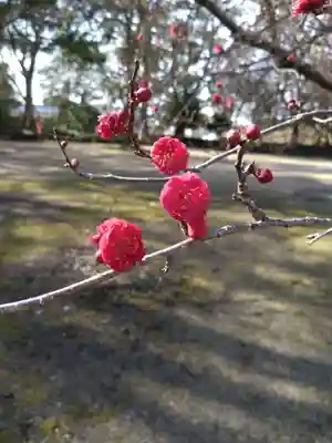 大島子諏訪神社(熊本県)