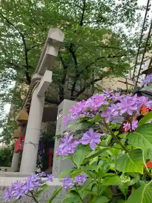 十番稲荷神社(東京都)