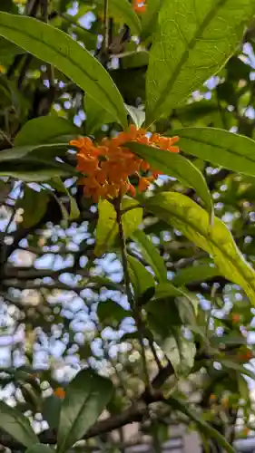 宝蔵寺(京都府)