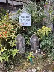海住山寺(京都府)