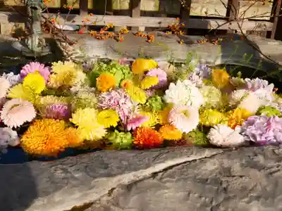 金倉寺の手水舎