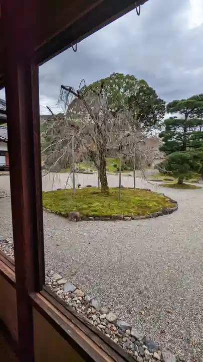 三宝院(三宝院門跡)(京都府)