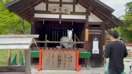 賀茂別雷神社（上賀茂神社）の{uncategorized: "未分類", other: "その他", undefined: "問題あり", building: "その他建物", grave: "お墓", sacred_gate: "鳥居", guardian: "狛犬", statue: "像", buddha: "仏像", history: "歴史", nature: "自然", garden: "庭園", animal: "動物", pagoda: "塔", temizu: "手水舎", mountain_gate: "山門・神門", sanctuary: "本殿・本堂", subordinate: "末社・摂社", art: "芸術", scenery: "景色", jizo: "地蔵", ema: "絵馬", goshuin: "御朱印", omikuji: "おみくじ", items: "授与品その他", amulet: "お守り", goshuincho: "御朱印帳", eats: "食事", festival: "お祭り", votive_dance: "神楽", shichigosan: "七五三参", wedding: "結婚式", experience: "体験その他", initially: "初詣", around: "周辺", anti_infection: "感染症対策"}