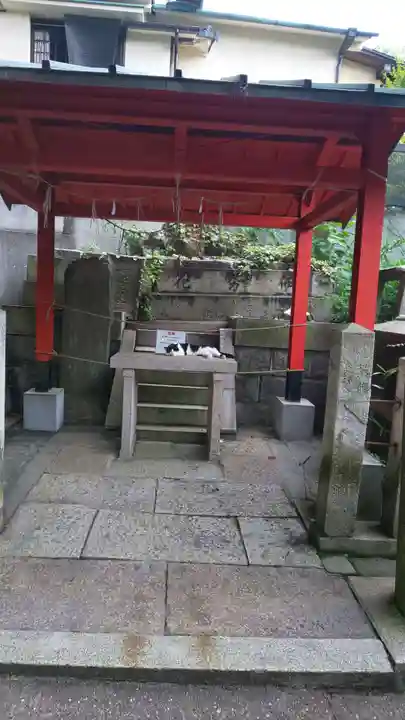 伏見稲荷大社の動物