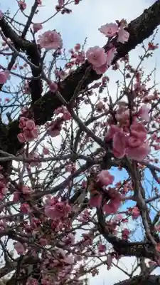 北野天満宮(京都府)