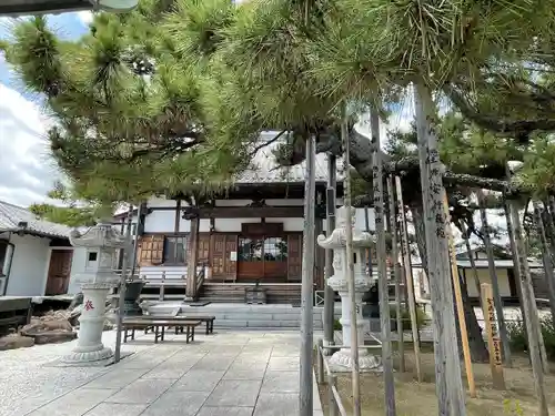 南蔵院の本殿・本堂