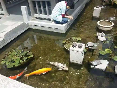 福祥寺（須磨寺）の動物