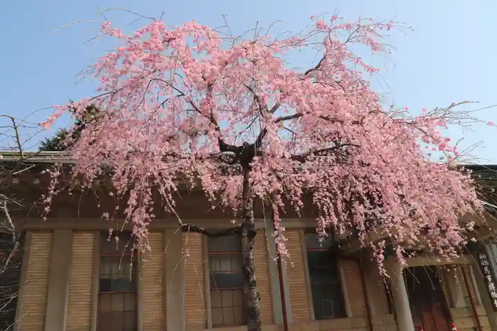 竹駒神社の自然