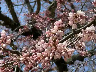 国宝 大法寺(長野県)
